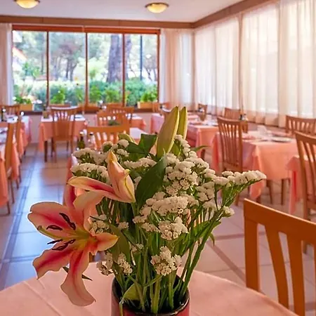 Lilly Hotel 3*